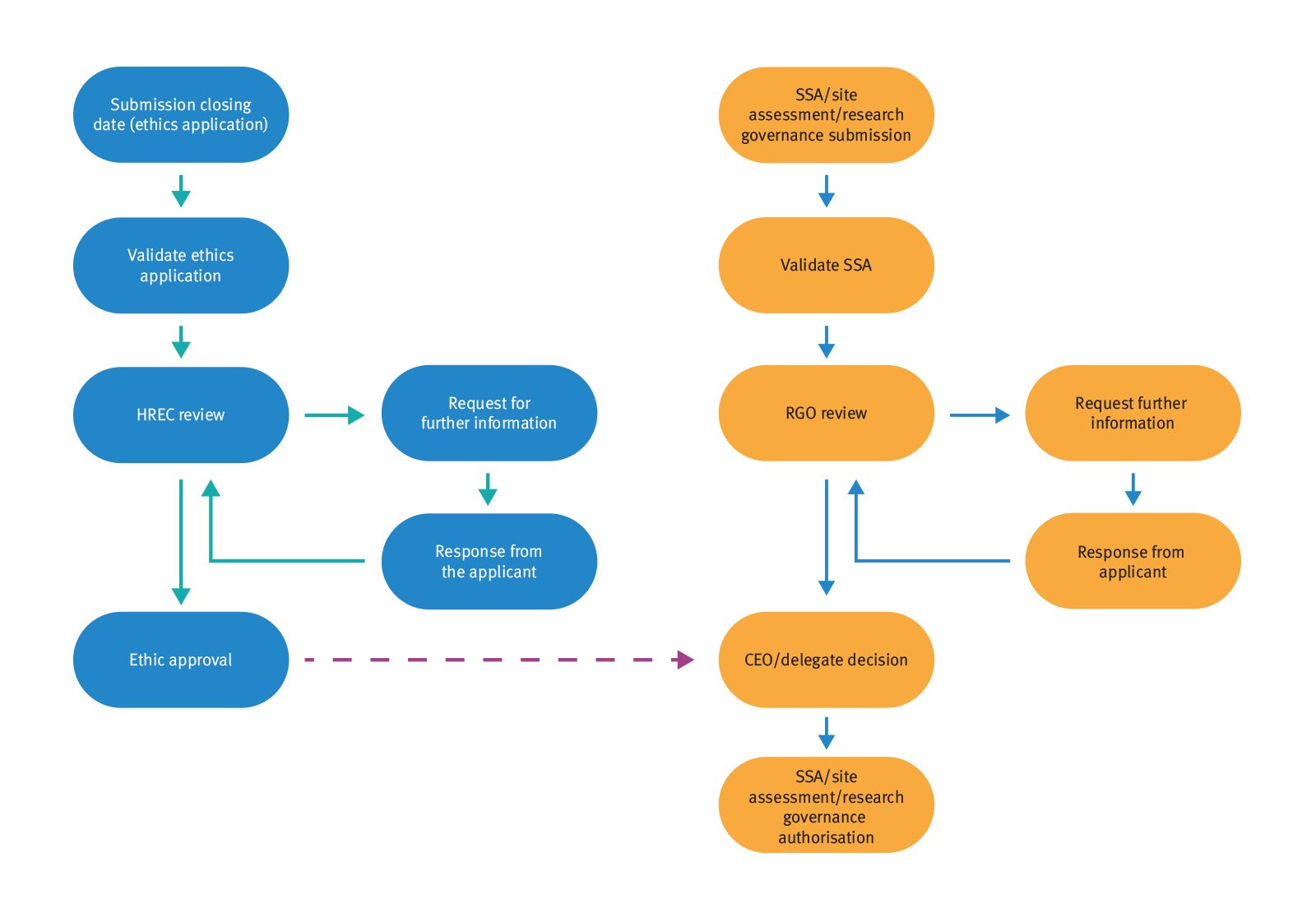 reg pathway2